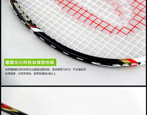 运动户外用品 羽毛球拍纤维成人青少年儿童比赛1支装